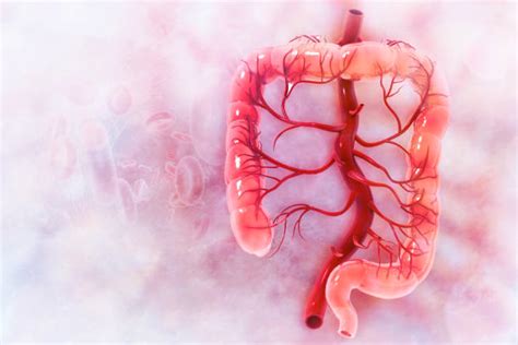 33,600+ Colon Stock Photos, Pictures & Royalty.